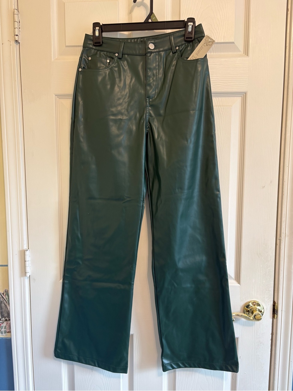 Kilah Lizard Thicket Dark Green Faux Leather Pants Chic Sz S NWT